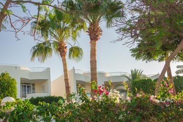 Similar image 7803400