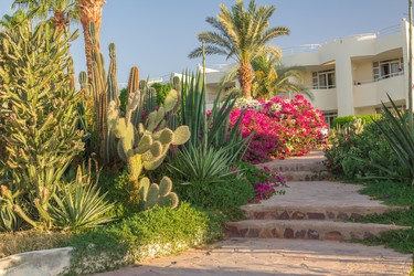 Similar image 7803401