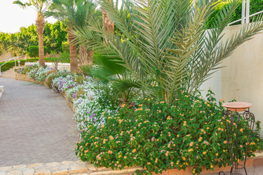 Similar image 7803406