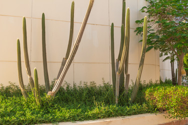 Similar image 7803407