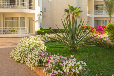 Similar image 7803408