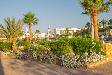 Similar image 7803409