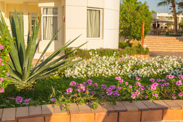 Similar image 7803412