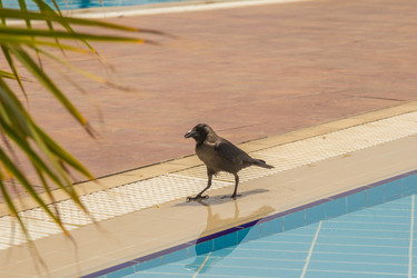 Similar image 7803431