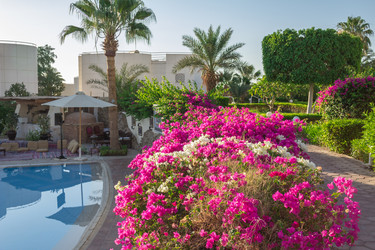 Similar image 7803457