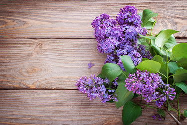 Similar image 7803548