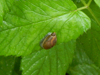 Similar image 7803551