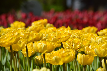 Similar image 7803555