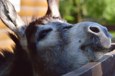 Similar image 7803556