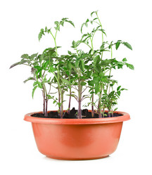 Similar image 7803569