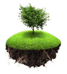 Similar image 7803572