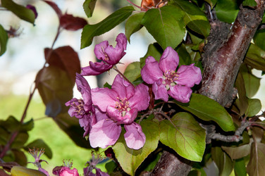 Similar image 7803574