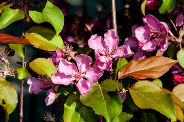 Similar image 7803575