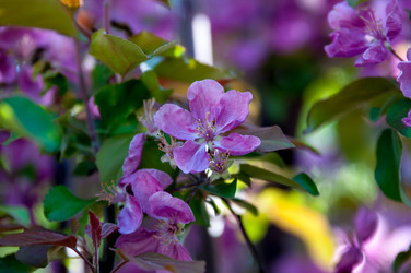 Similar image 7803578