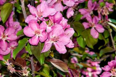 Similar image 7803579