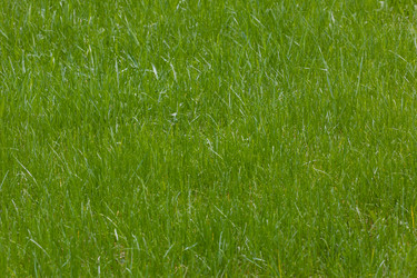 Similar image 7803582