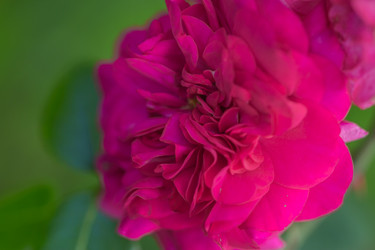 Similar image 7803583