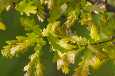 Similar image 7803584