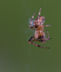 Similar image 7803585