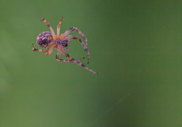 Similar image 7803588