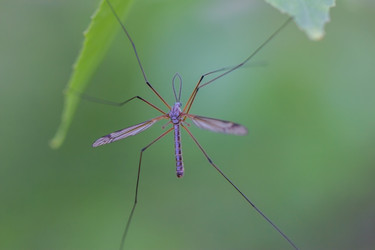 Similar image 7803589