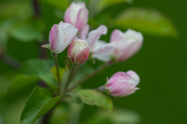 Similar image 7803590