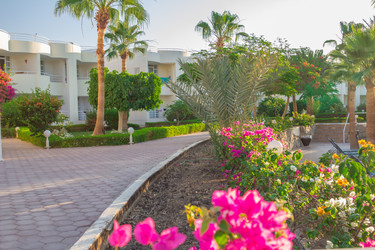 Similar image 7803593