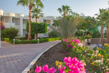 Similar image 7803594