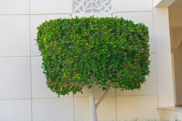 Similar image 7803596