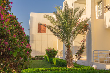 Similar image 7803597