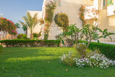 Similar image 7803598