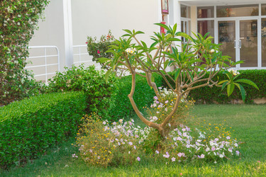 Similar image 7803599