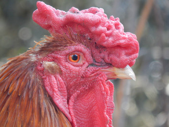 Similar image 7803619