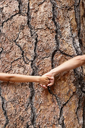 Similar image 7803950