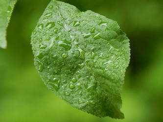 Similar image 7804099