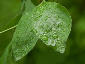 Similar image 7804310