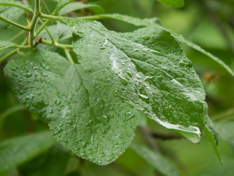 Similar image 7804311