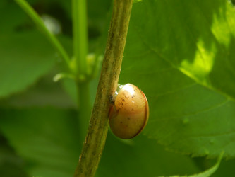 Similar image 7804341