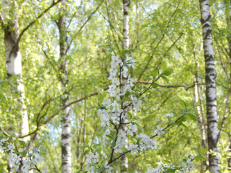 Similar image 7804343