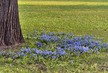 Similar image 7804347