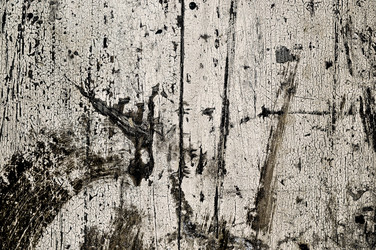 Similar image 7804370