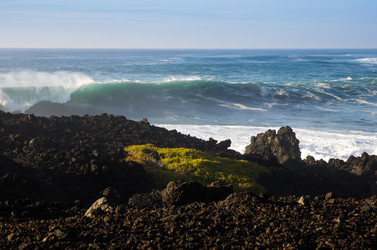 Similar image 7804531