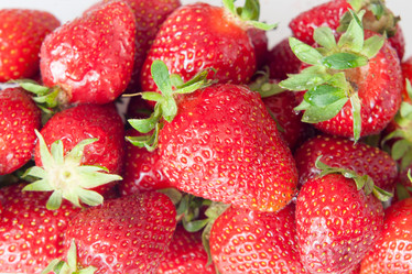 Similar image 7815822