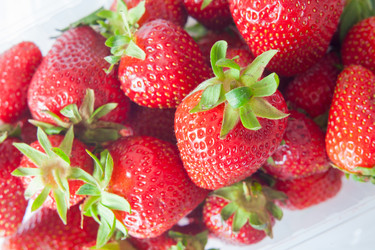 Similar image 7815826