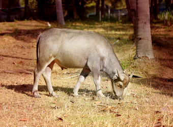 Similar image 7815878