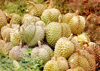 Similar image 7815880