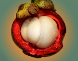 Similar image 7815883