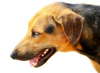 Similar image 7815884