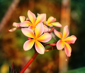 Similar image 7815891