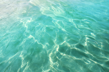 Similar image 7815896